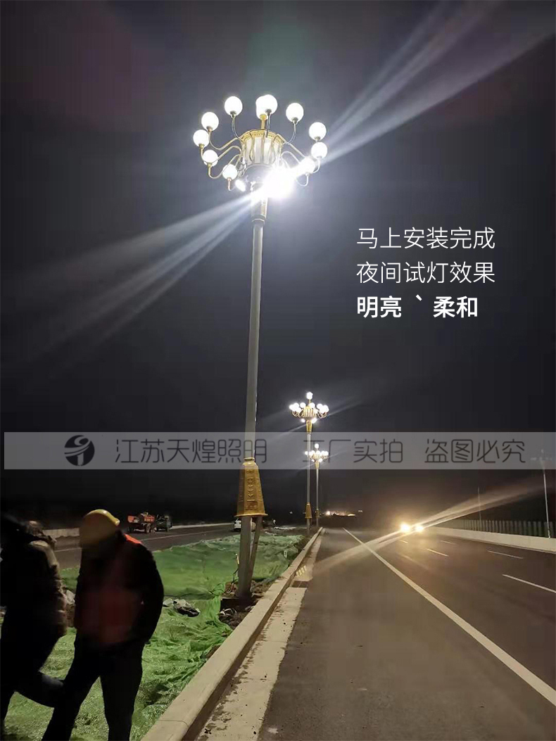 河南駐馬店景觀燈中華燈