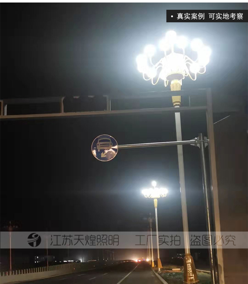 河南駐馬店景觀燈中華燈